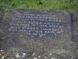 image of grave number 915786